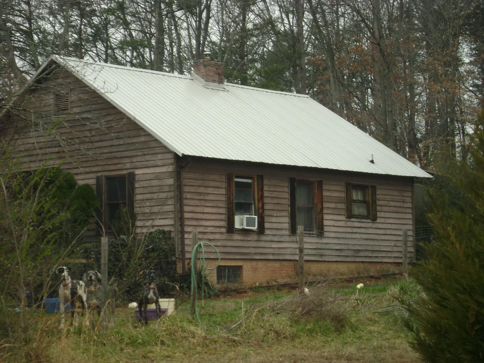 White metal roof on an old wood sided farmhouse, from a Asphalt Shingle Roof Repair job in Edinburg